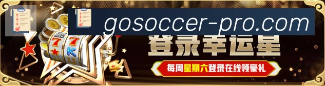 登录器 登录器